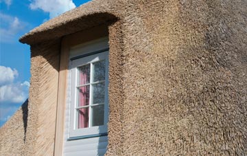 Haugh thatch roof disadvantages