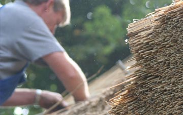 professional Haugh thatchers