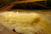 Haugh pitch roof insulation